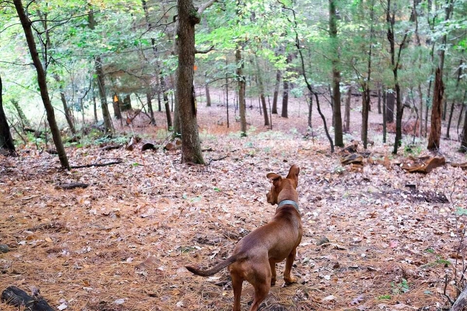 Radar on the Hiking Trail :)