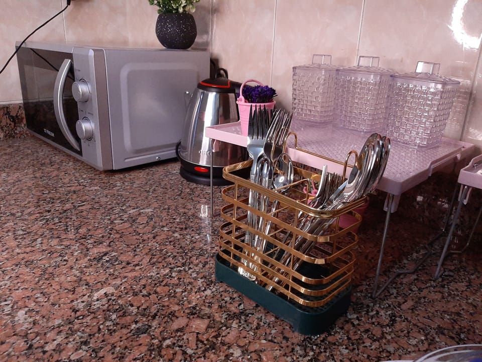 Deluxe Apartment | Private kitchen | Full-size fridge, microwave, oven, stovetop