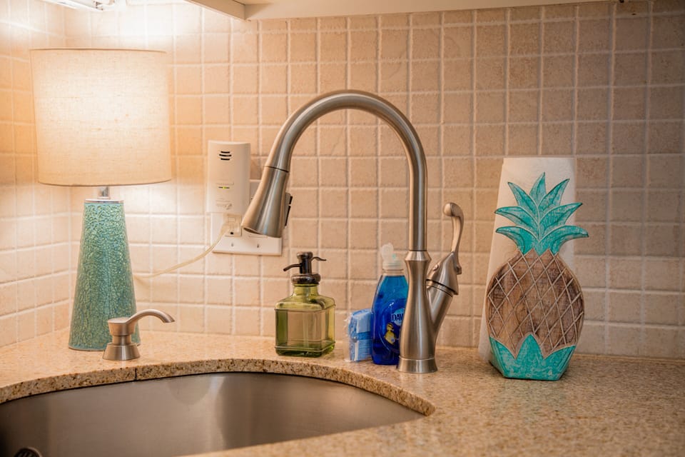 The deep SS. Sink has No garbage disposal.