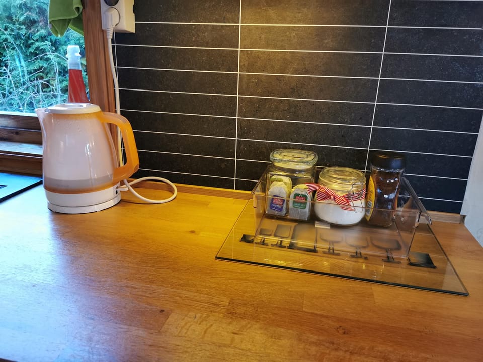 Full-size fridge, microwave, oven, stovetop
