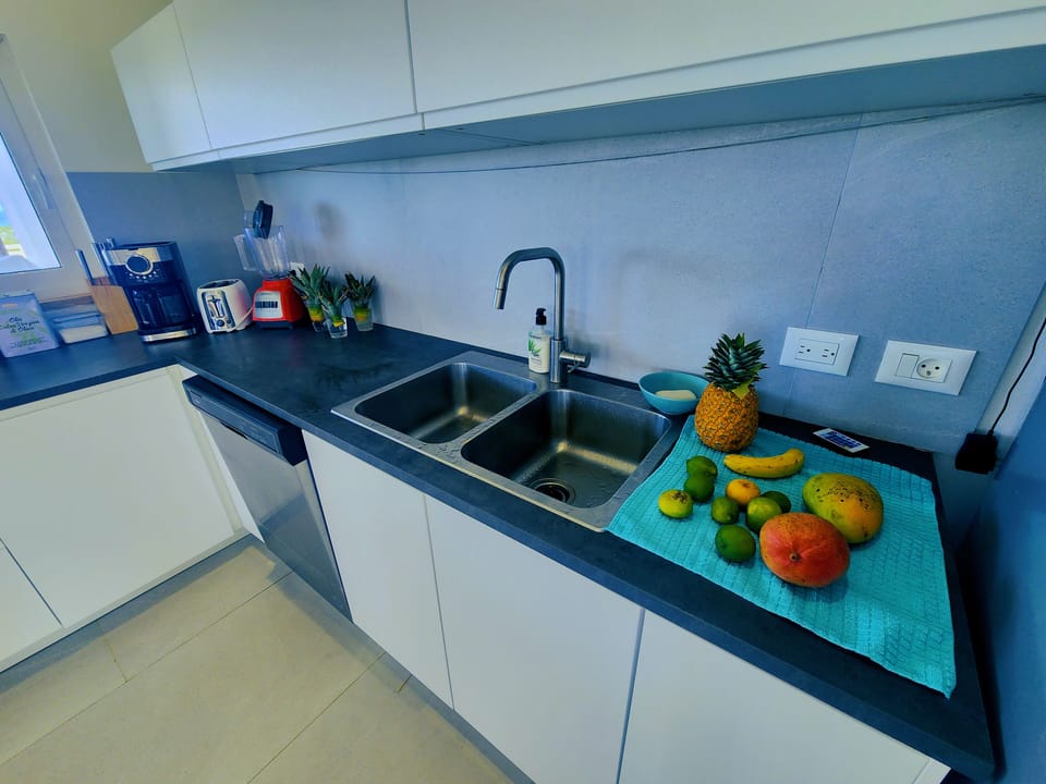 Full-size fridge, microwave, stovetop, dishwasher