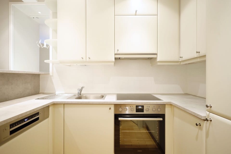 Deluxe Apartment | Private kitchen | Fridge, microwave, oven, stovetop