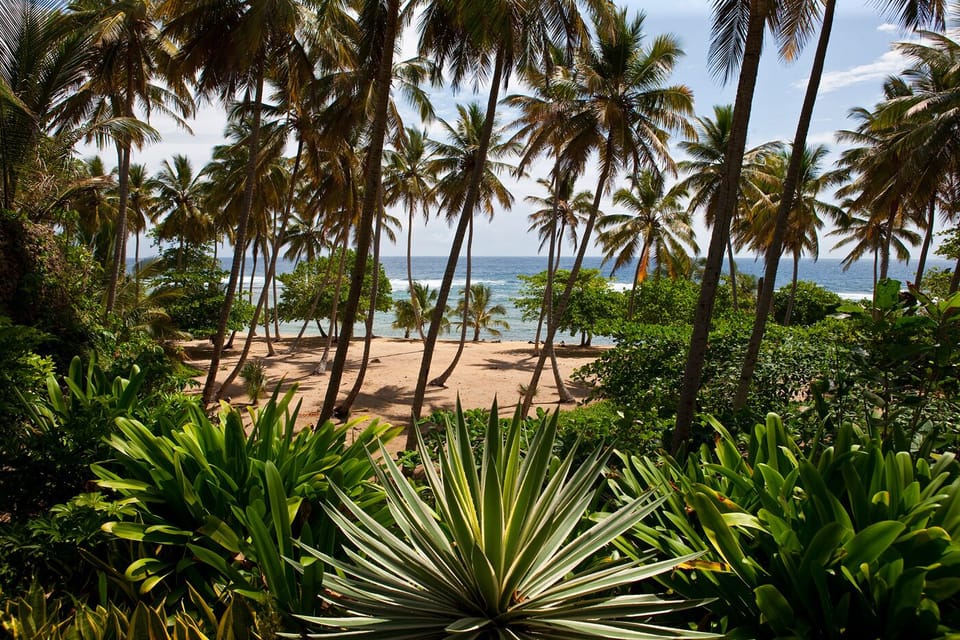 Beach