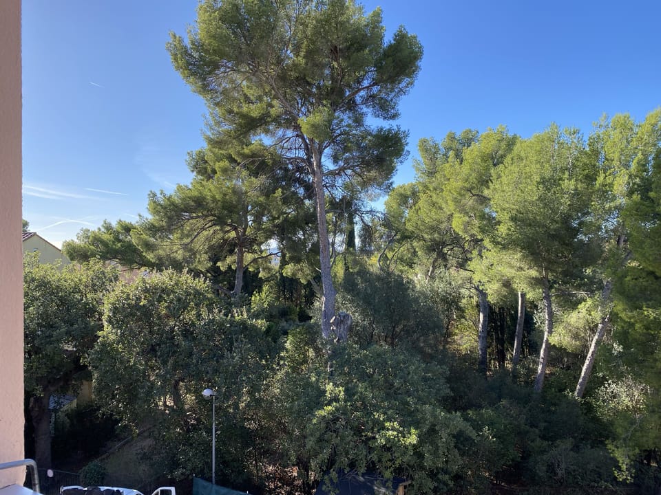 View from property