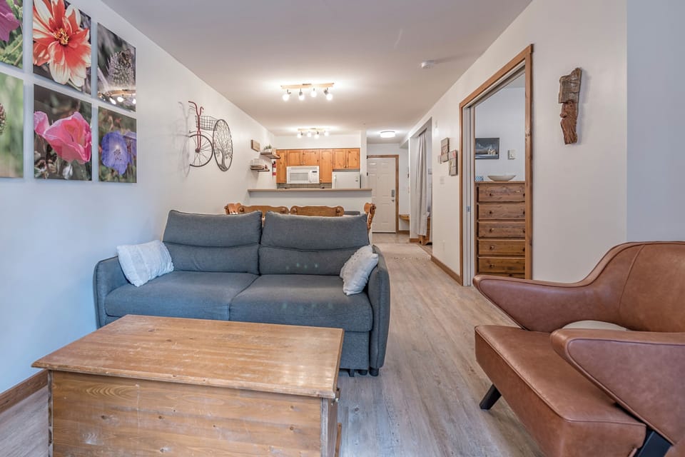 Living Room Pull-Out Couch 