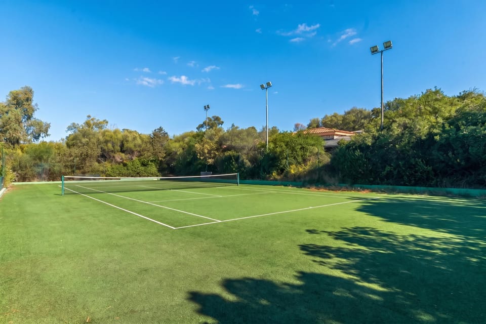 Tennis court