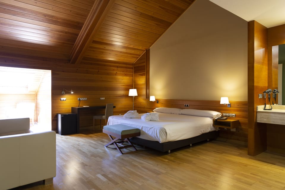 Double or Twin Room | Hypo-allergenic bedding, minibar, in-room safe, desk