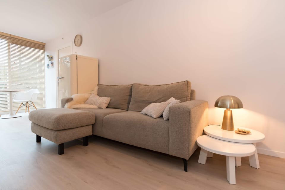 Modern grey sofa 