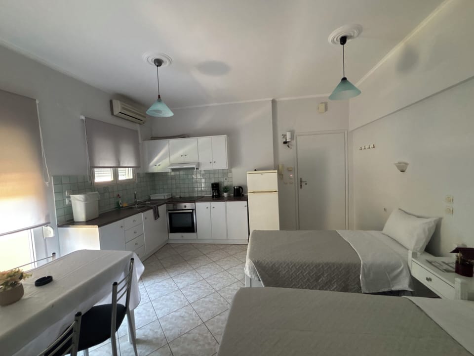 Apartment, 1 Bedroom (301) | Private kitchen | Fridge, electric kettle, cookware/dishes/utensils