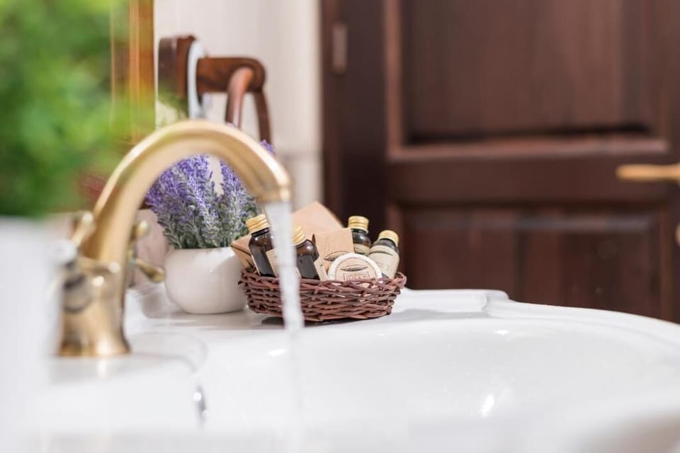 Hydromassage showerhead, free toiletries, hair dryer, bathrobes