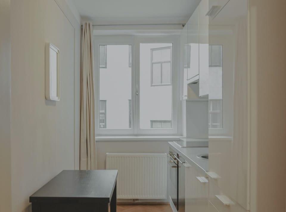 City Apartment | Private kitchen | Fridge, microwave, oven, stovetop