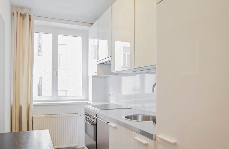 City Apartment | Private kitchen | Fridge, microwave, oven, stovetop