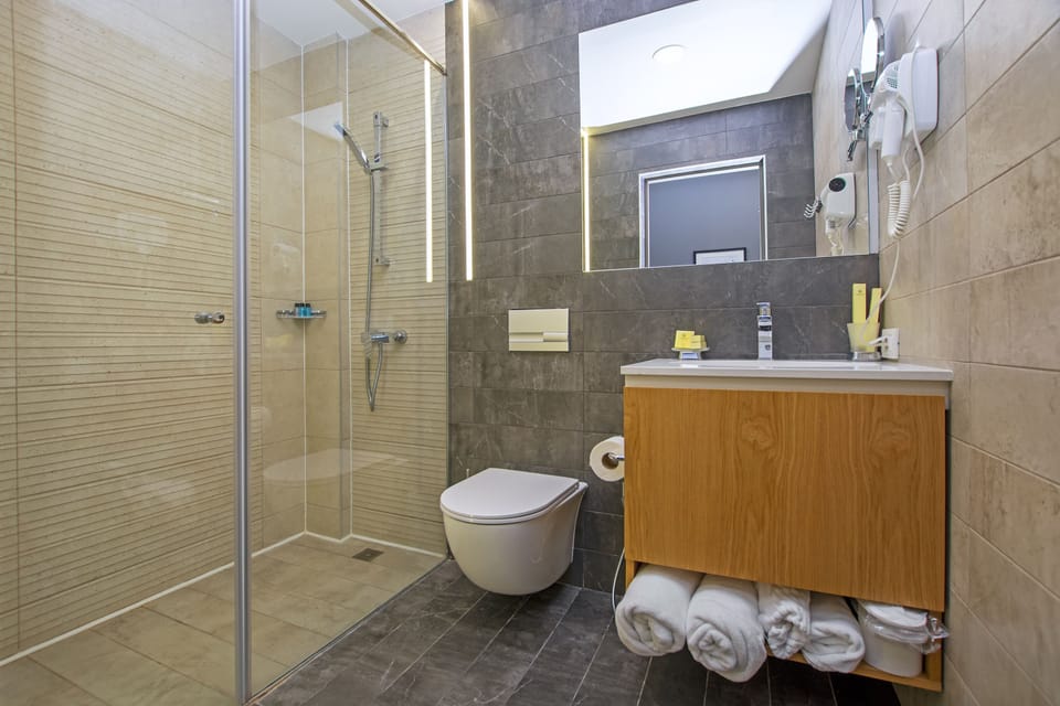 Standard Double Room | Bathroom | Shower, rainfall showerhead, free toiletries, hair dryer