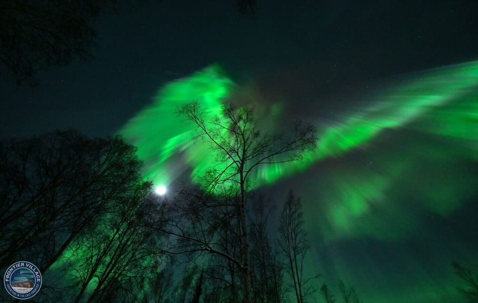Aurora views over the cabin!