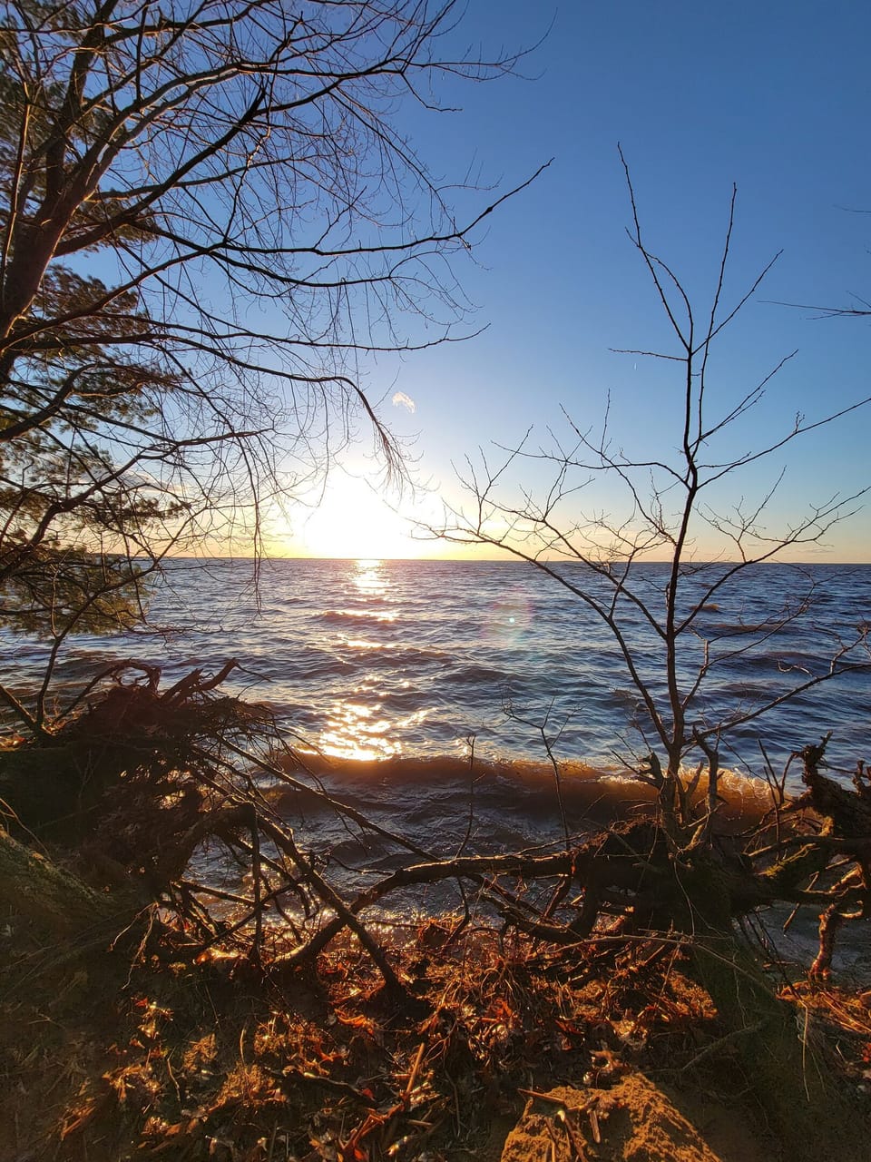 Watch the sun melt over the water from a quiet shoreline retreat, framed by trees and golden evening light.