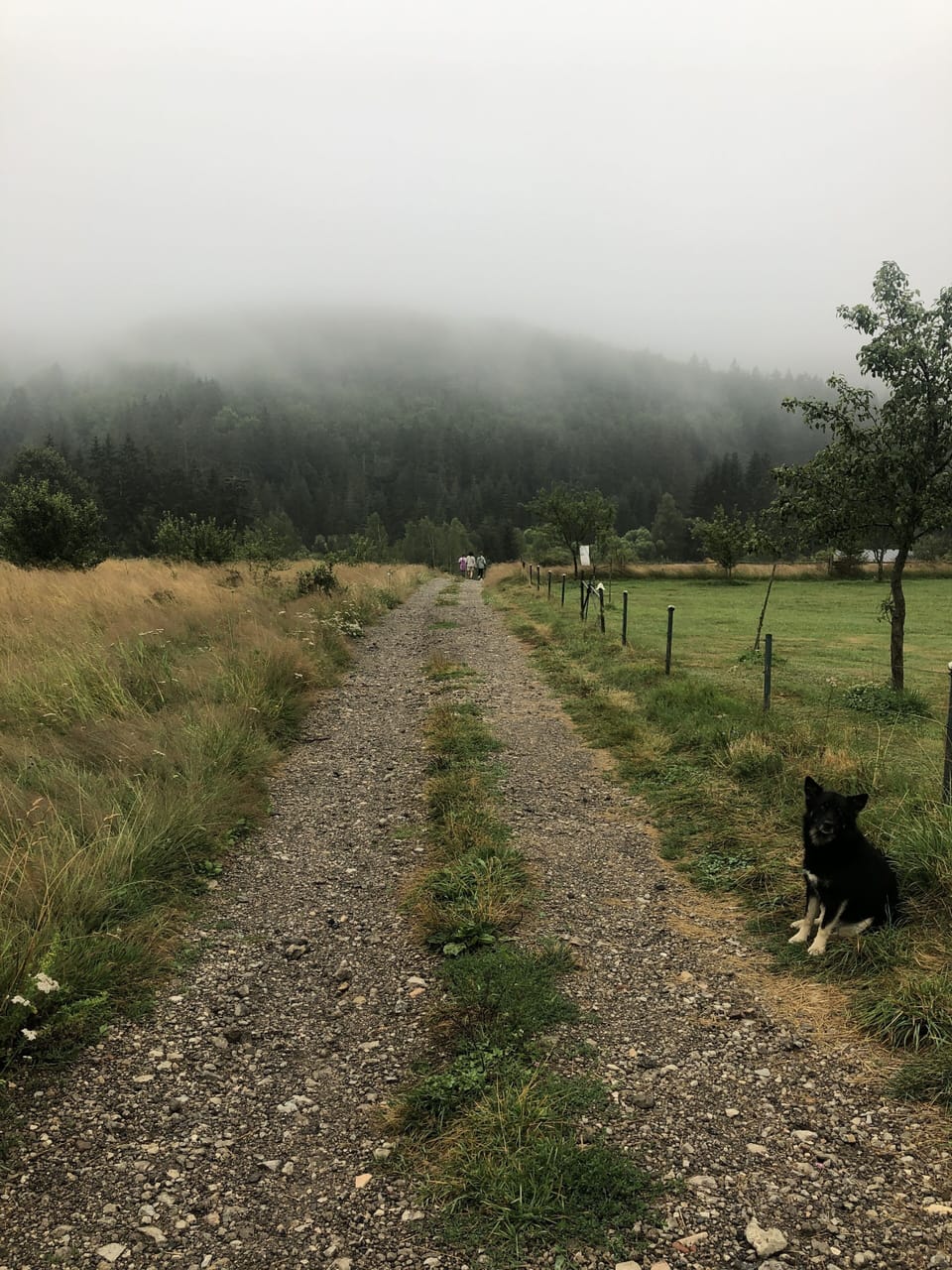 Road to the property