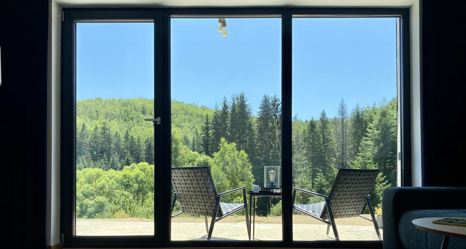 View with the patio from the living room. Real scenery