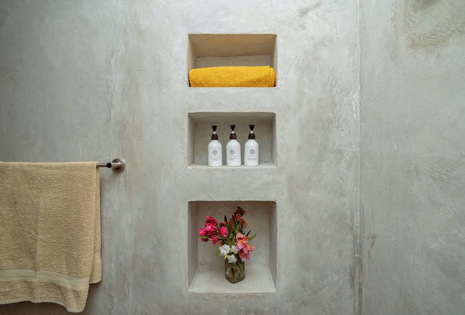 Shower, hair dryer, bathrobes, bidet