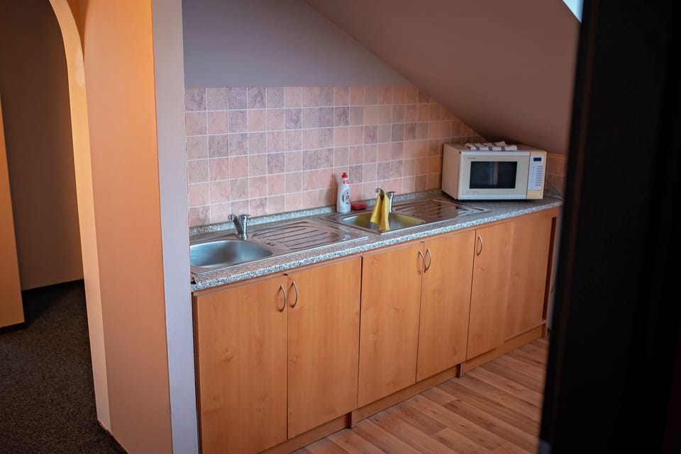 Basic Quadruple Room | Private kitchen | Fridge, microwave, stovetop, cookware/dishes/utensils