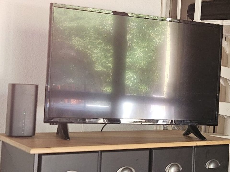 Television