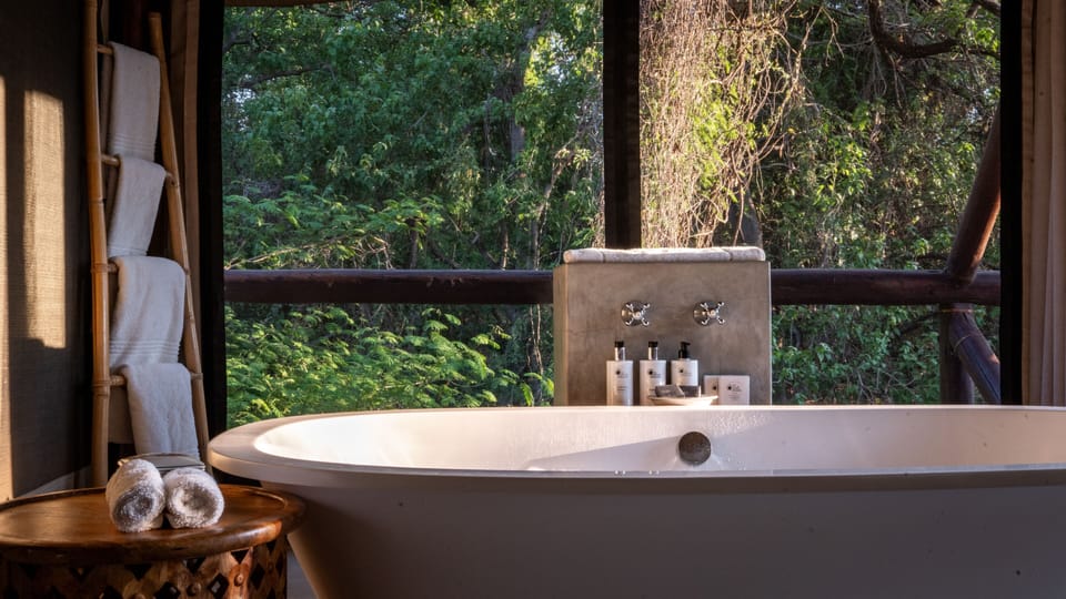 Tuli Safari Lodge Mashatu Lodge in Africa