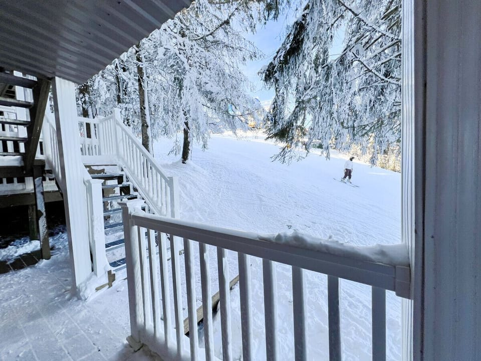 Actual view of the new Powder Monkey lift from the backdoor of Stemwinder 10.