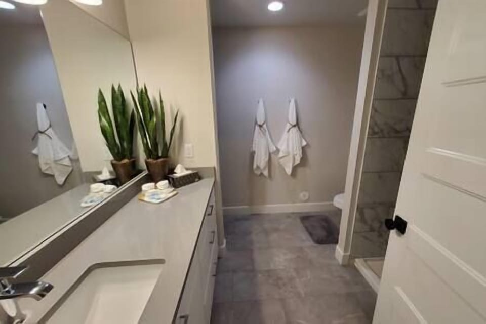 Main Bathroom