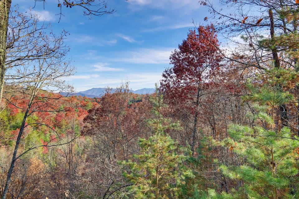 Mountain Views
