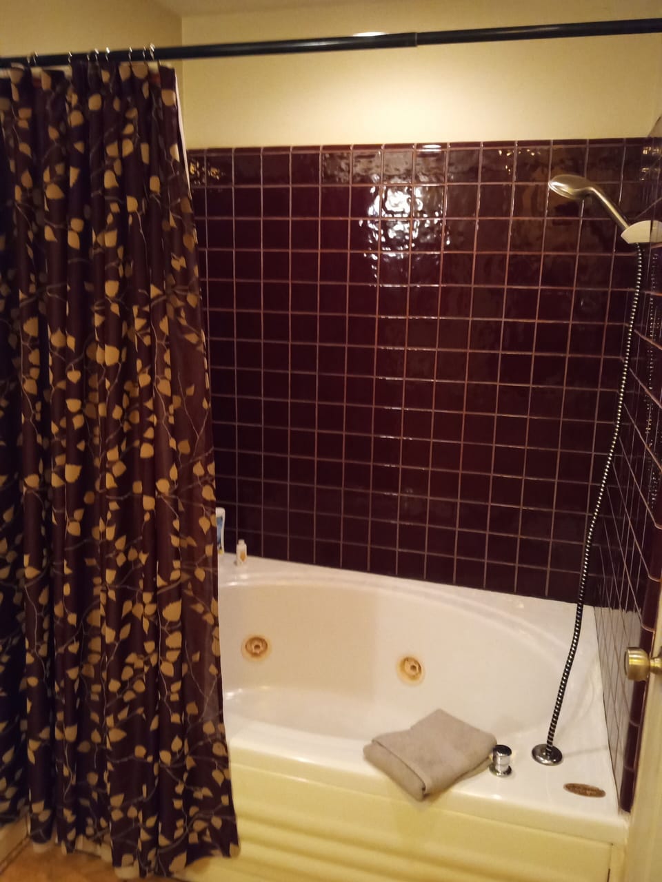 Deluxe Room, 1 Queen Bed, Jetted Tub | Bathroom | Free toiletries, hair dryer, towels, soap