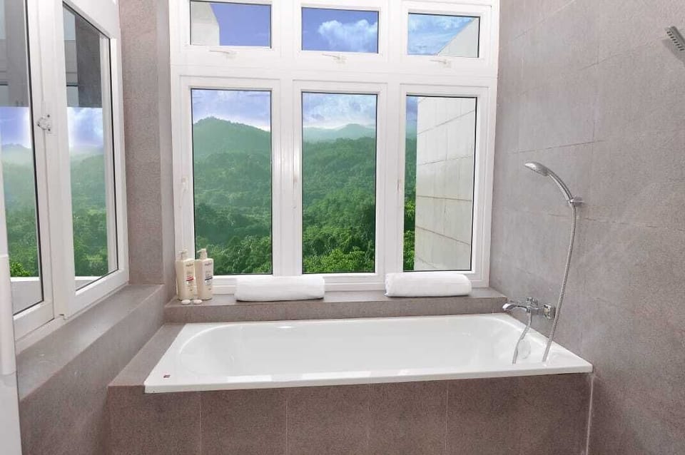 Deluxe Double Room | Bathroom | Hair dryer, bidet