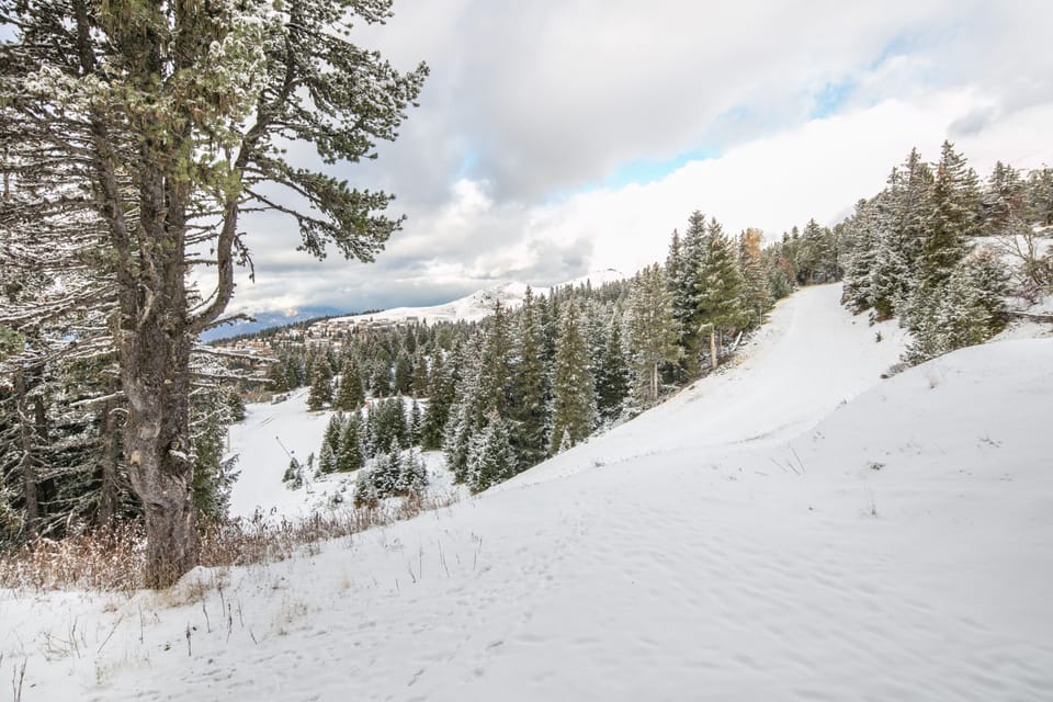 Snow and ski sports