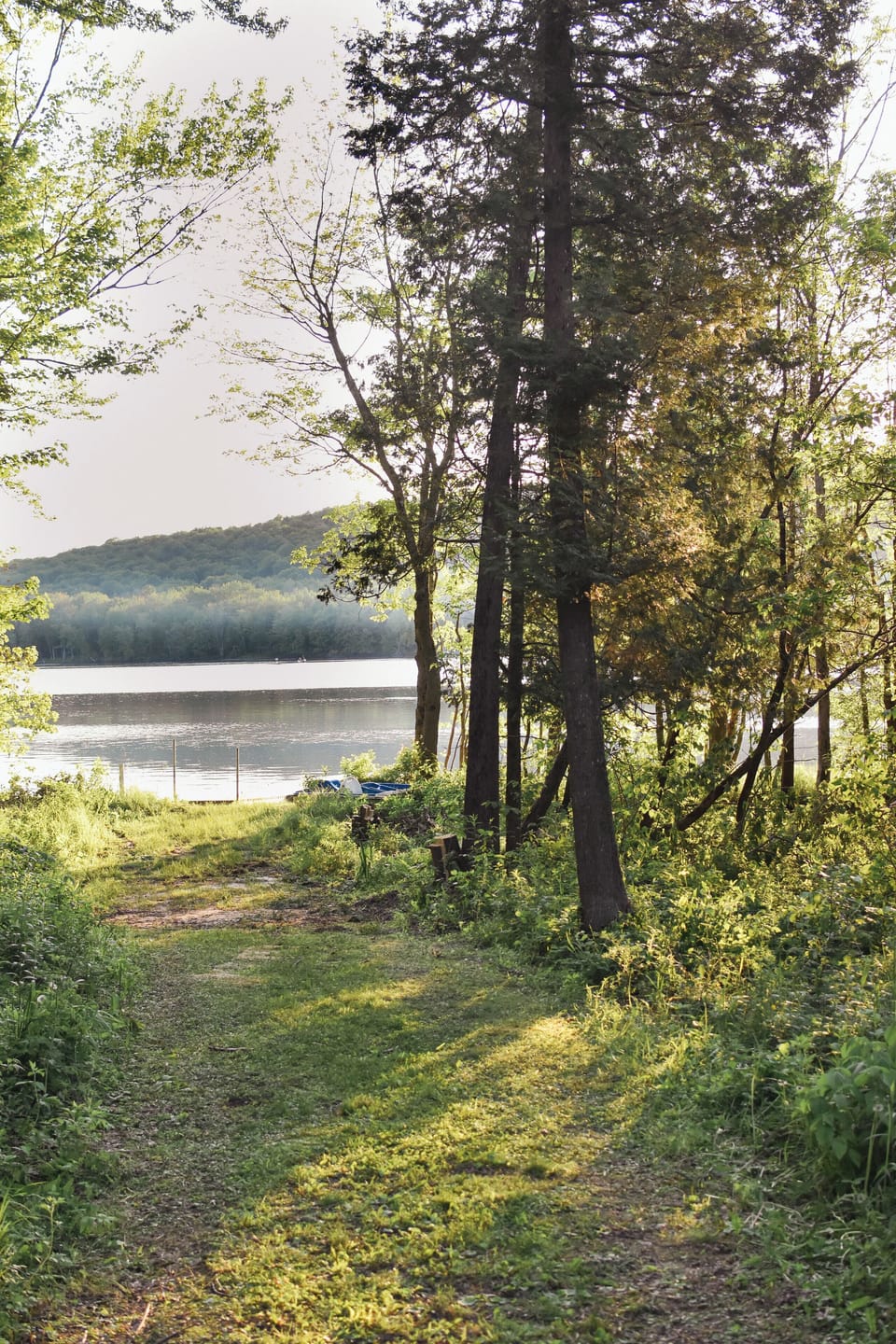 Access to the lake!