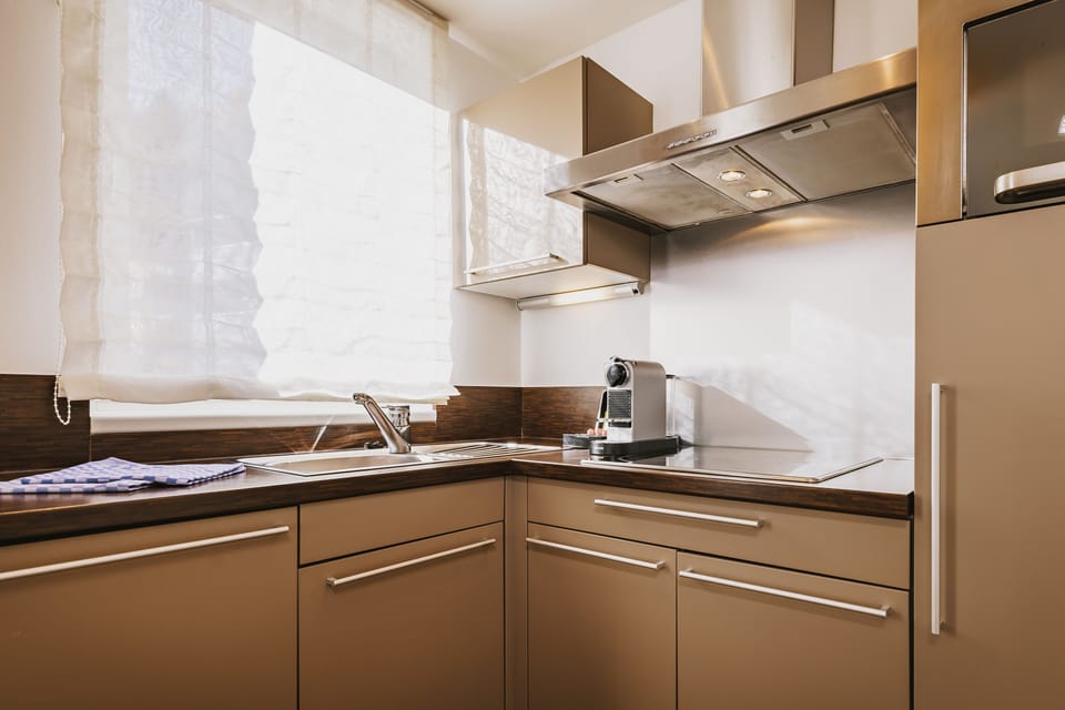 Apartment, 1 Bedroom (Excl. 113 EUR cleaning fee) | Private kitchen | Fridge, oven, stovetop, dishwasher