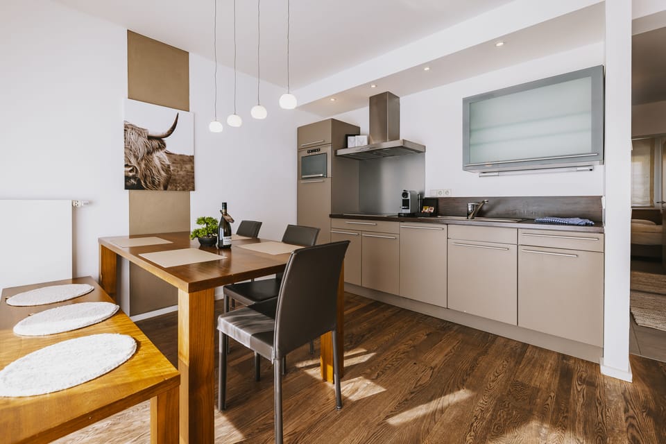 Apartment, 2 Bedrooms (Excl. 163 EUR cleaning fee) | Private kitchen | Fridge, oven, stovetop, dishwasher