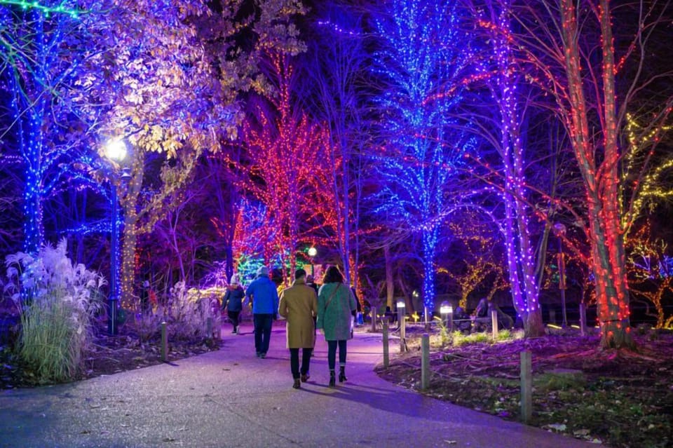 Zoo lights at Lincoln Park Zoo. Also at Brookfield Zoo.