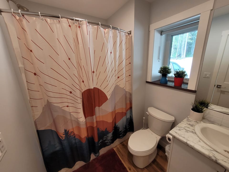 Bugaboo downstairs bathroom (1)