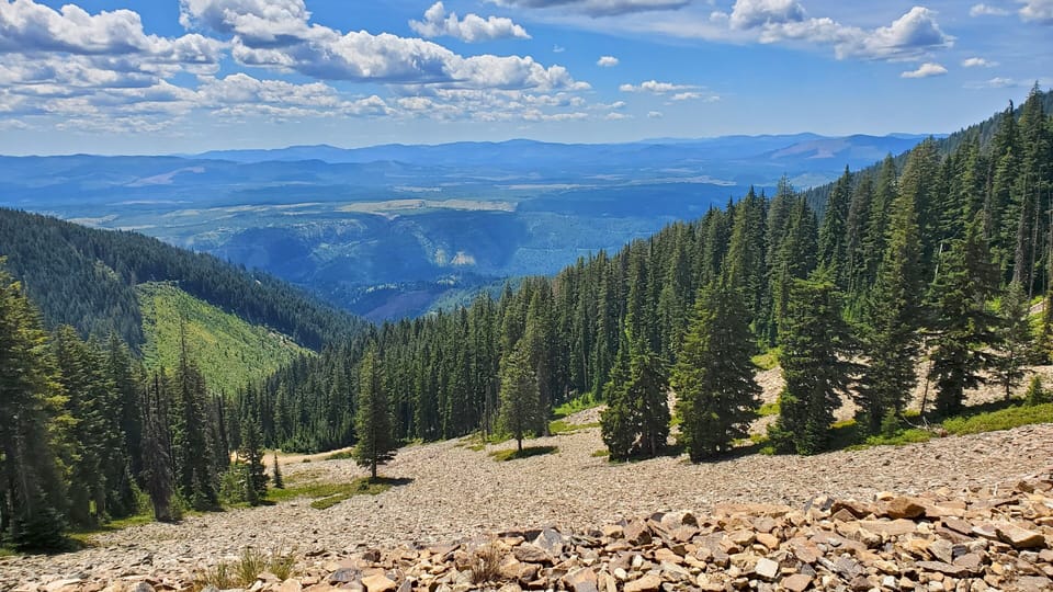 View from Forest access road to StMaries Baldy looking towards St Joe River.