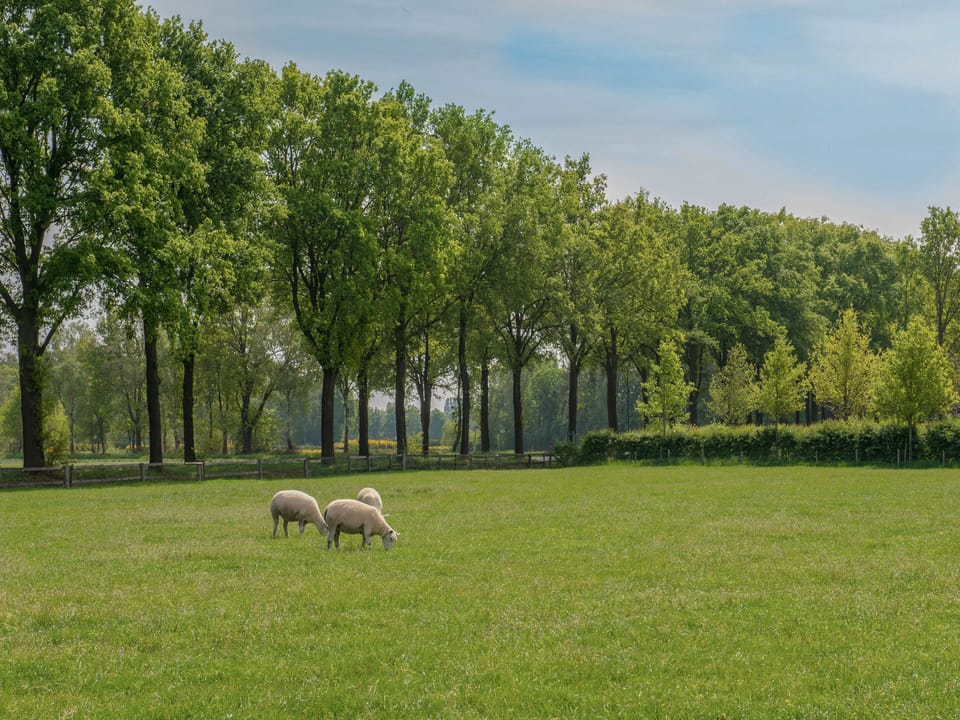 Immediate Surroundings [summer] (<1 km)