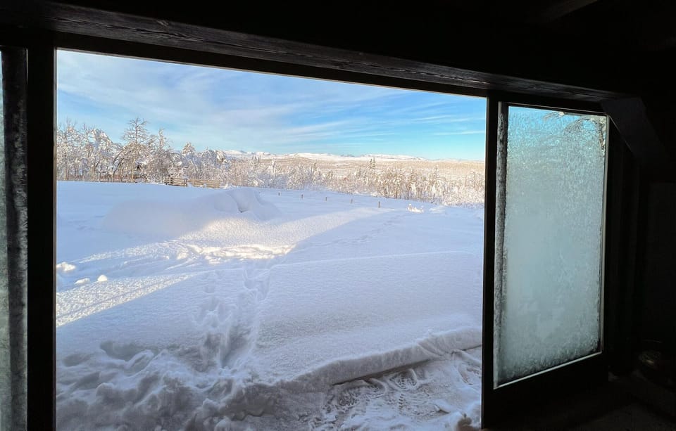 view-from-room
