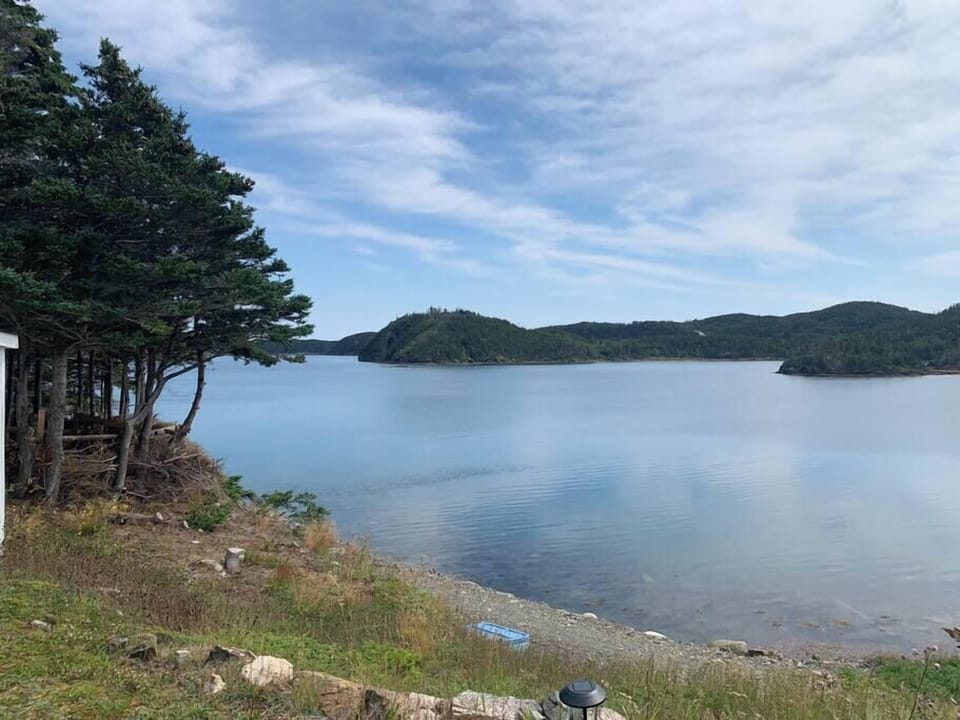 View from patio