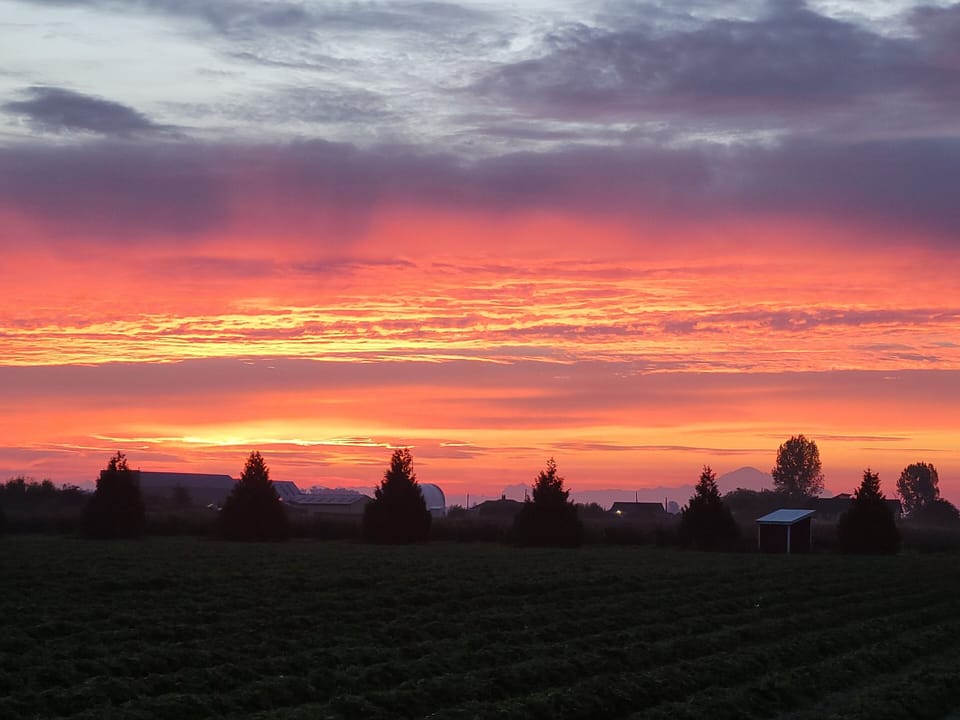 Our sunrises are exceptional