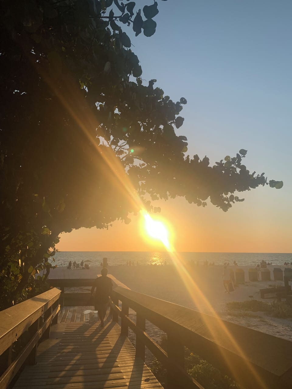 Boardwalk