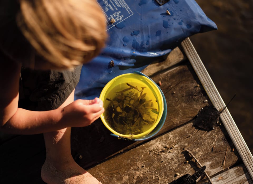 Great fishing and minnow hunting right from the dock and beach.