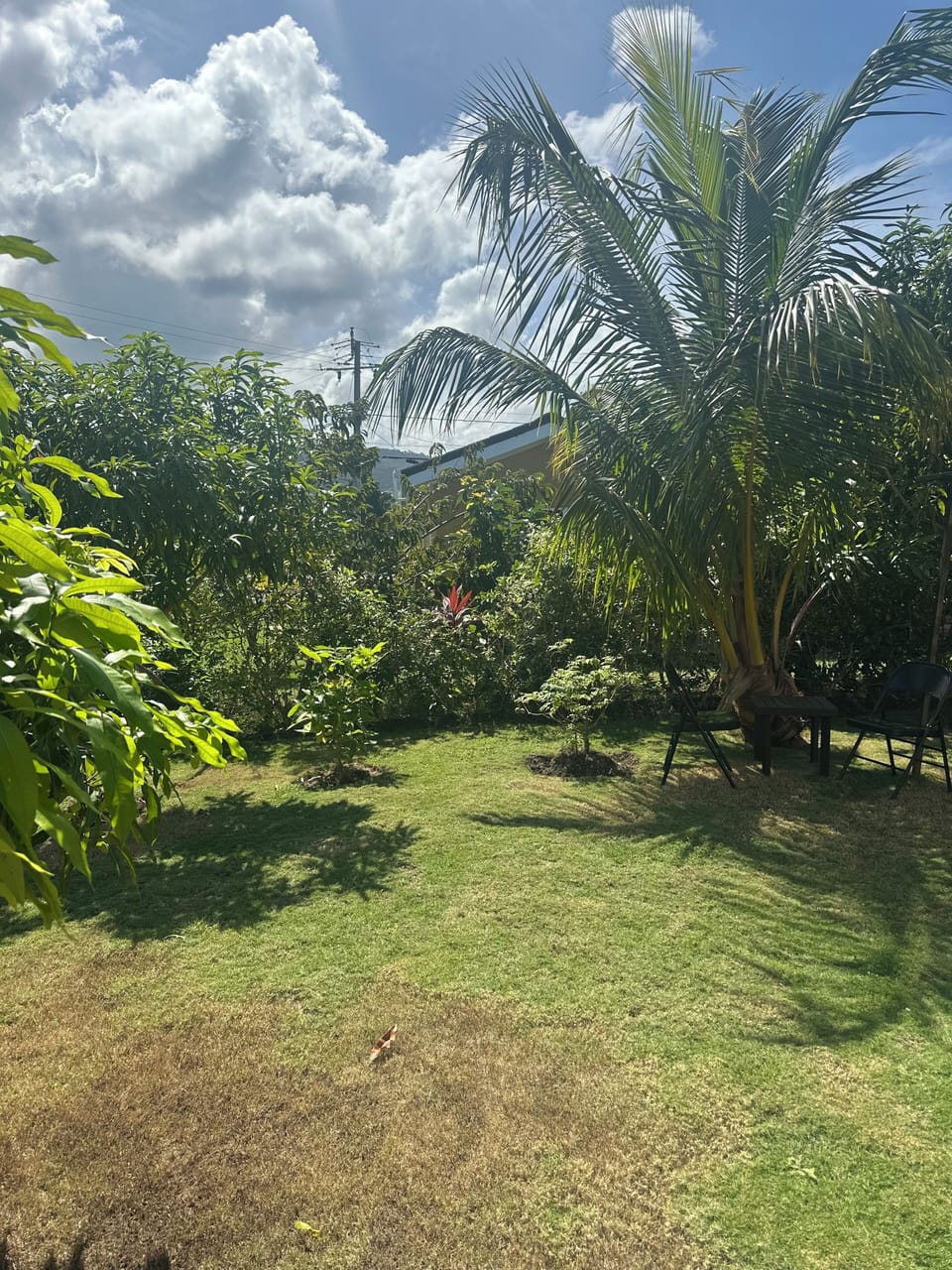 Enjoying  the back garden and views 