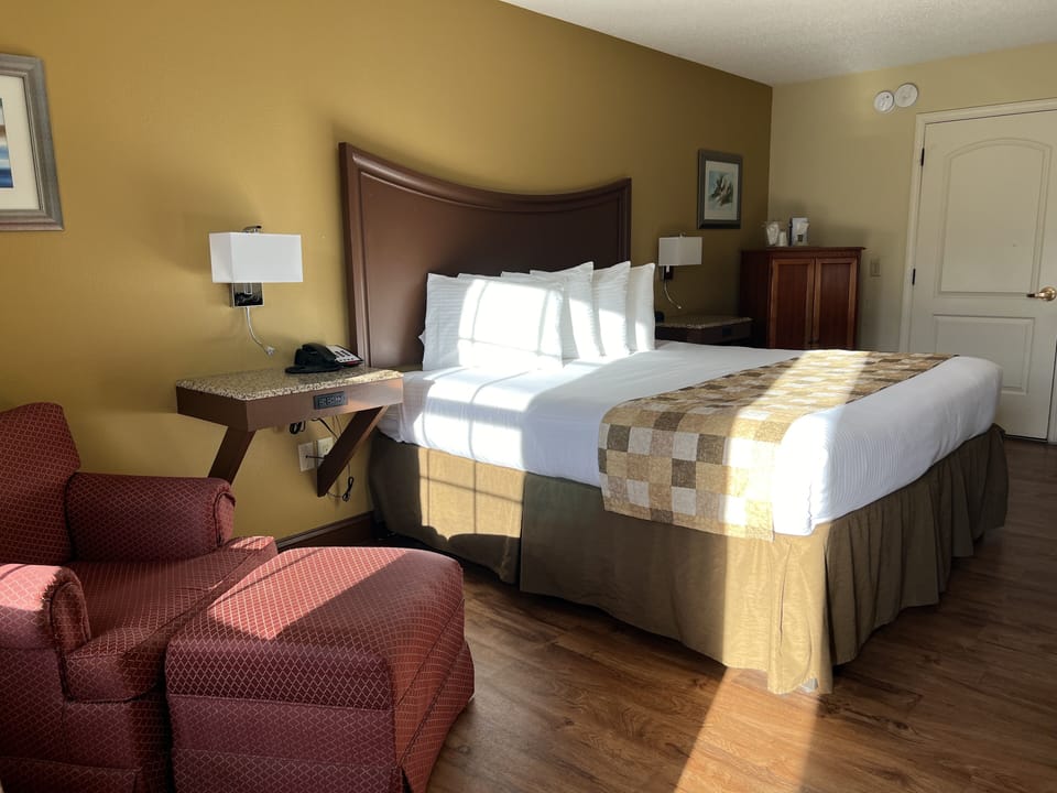 Room, 1 King Bed | Free WiFi