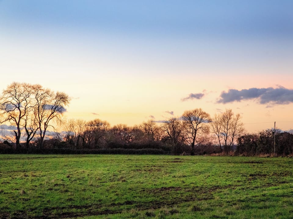 View | Sunset View, Burtle, near Glastonbury