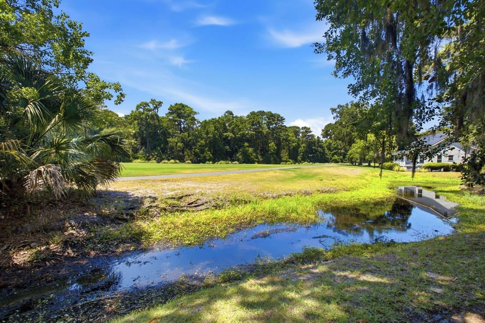 Lush palm fronds and hanging moss frame a serene view of the glass-like water and rolling green lawn. The midday glow illuminates the path and surrounding pines, creating a quiet, picturesque setting for a slow afternoon stroll.