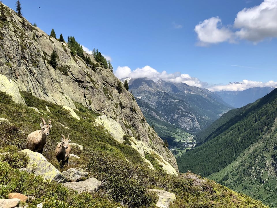 Hiking