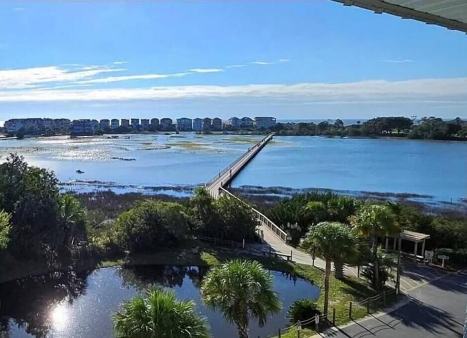 aeriel view of private boardwalk through marsh