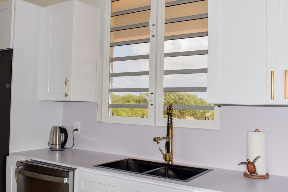 Kitchen sink with GE Monogram dishwasher and electric kettle